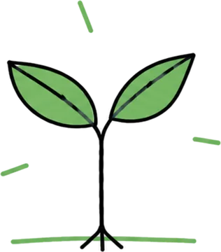 A young seedling with two leaves